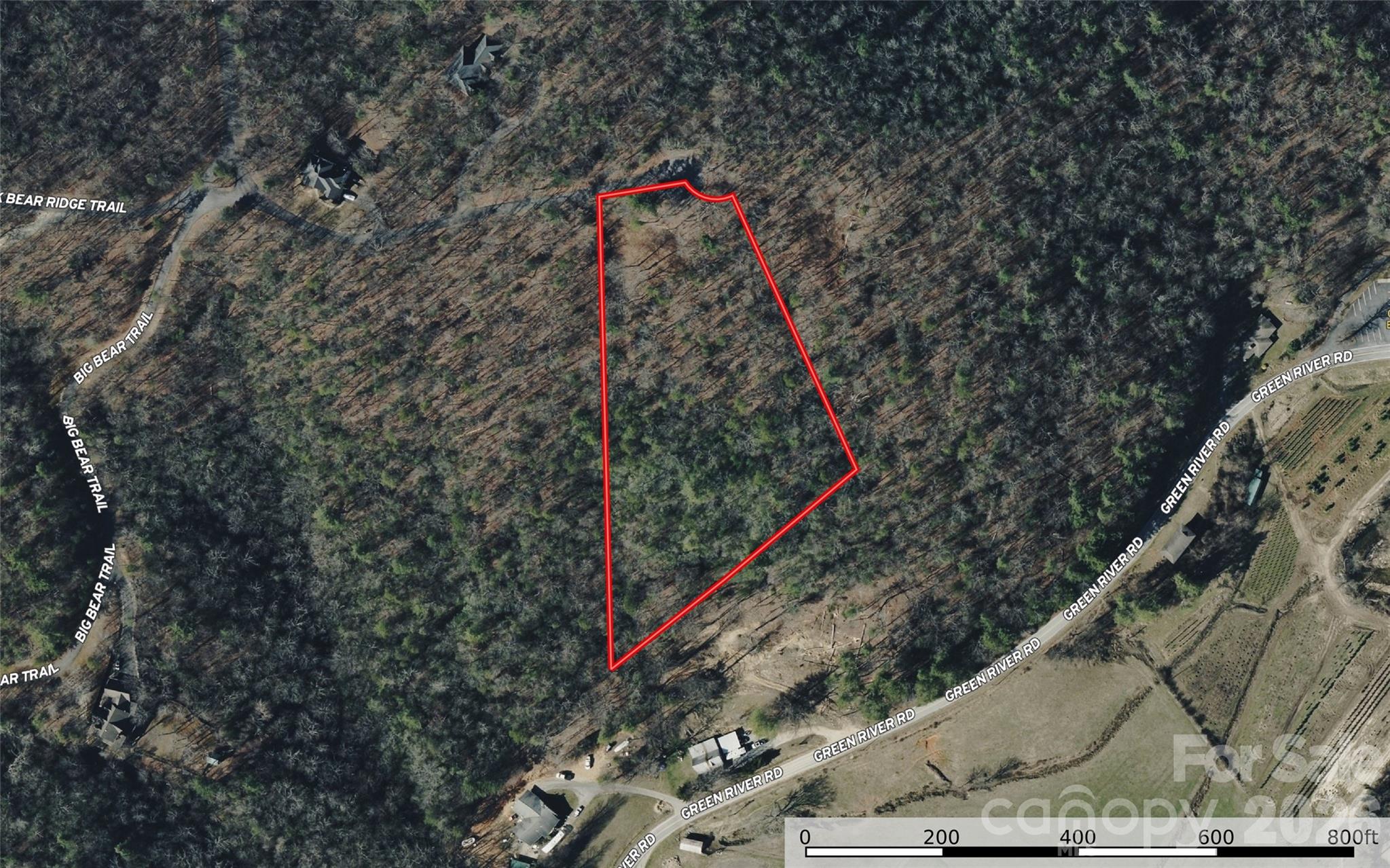 130 Brown Bear Ridge Trail Zirconia NC 28790