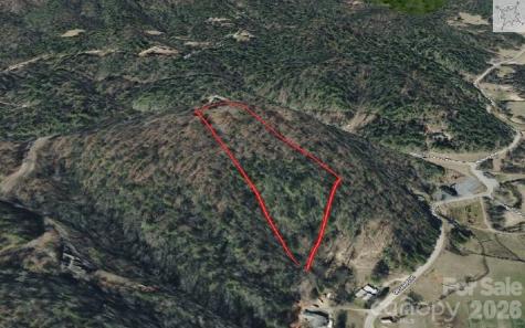130 Brown Bear Ridge Trail Zirconia NC 28790