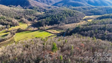 130 Brown Bear Ridge Trail Zirconia NC 28790