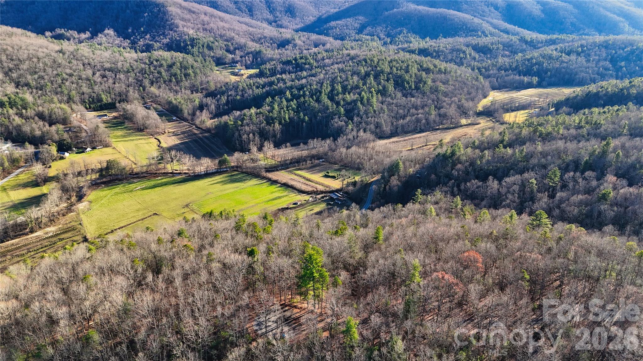 130 Brown Bear Ridge Trail Zirconia NC 28790
