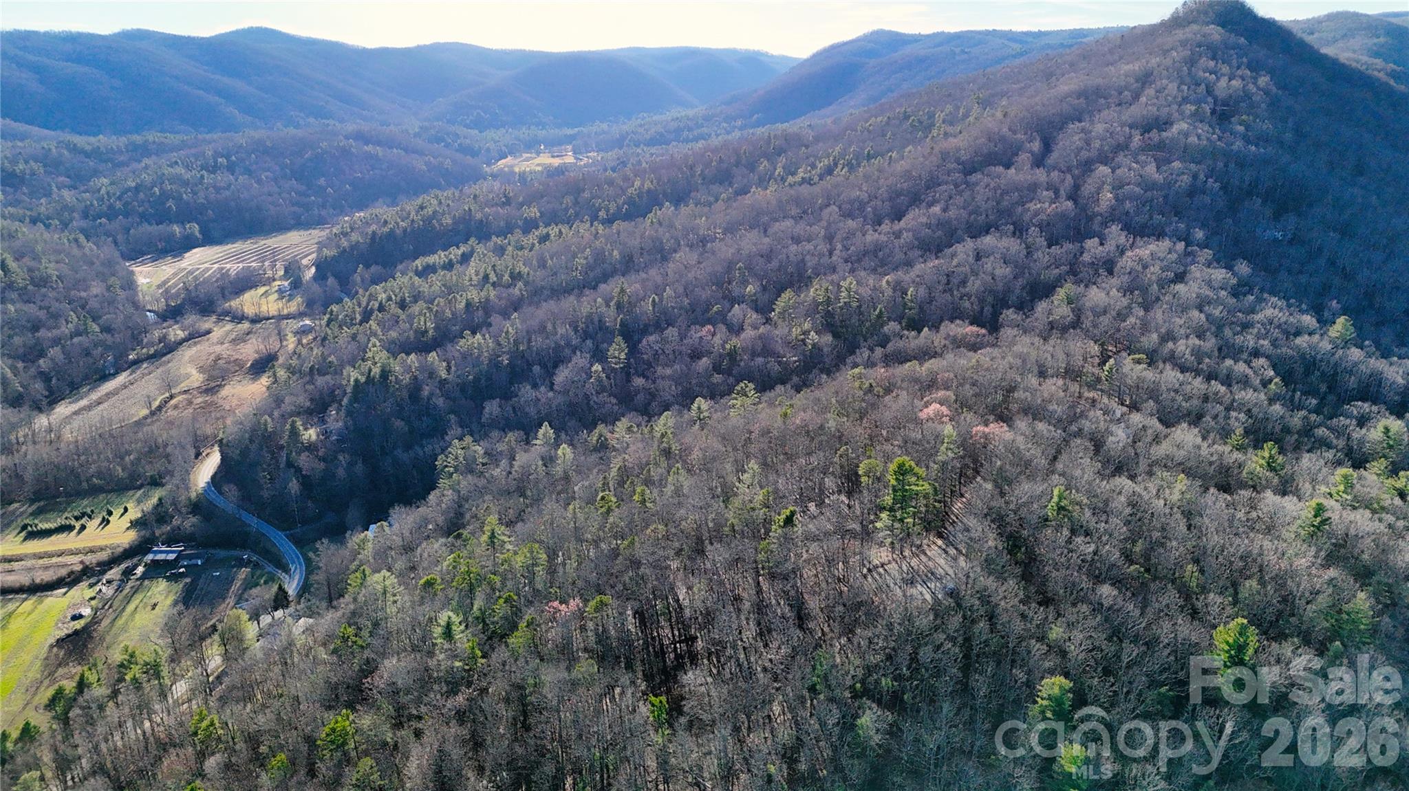 130 Brown Bear Ridge Trail Zirconia NC 28790