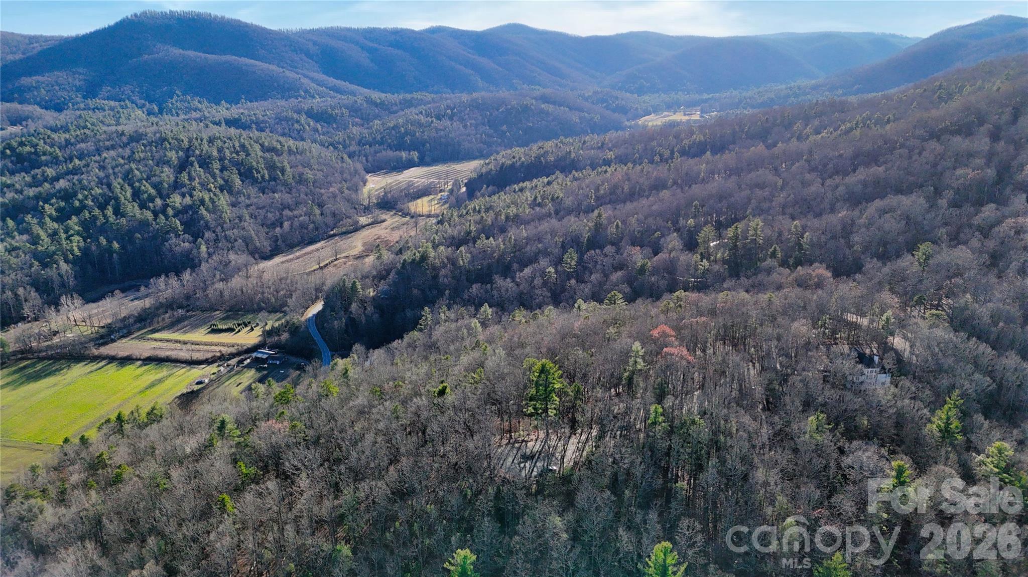 130 Brown Bear Ridge Trail Zirconia NC 28790