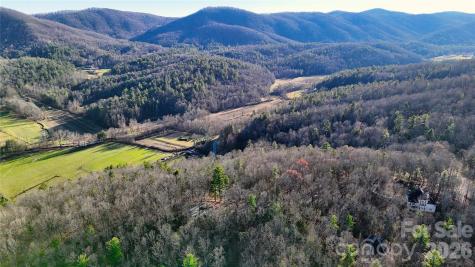 130 Brown Bear Ridge Trail Zirconia NC 28790