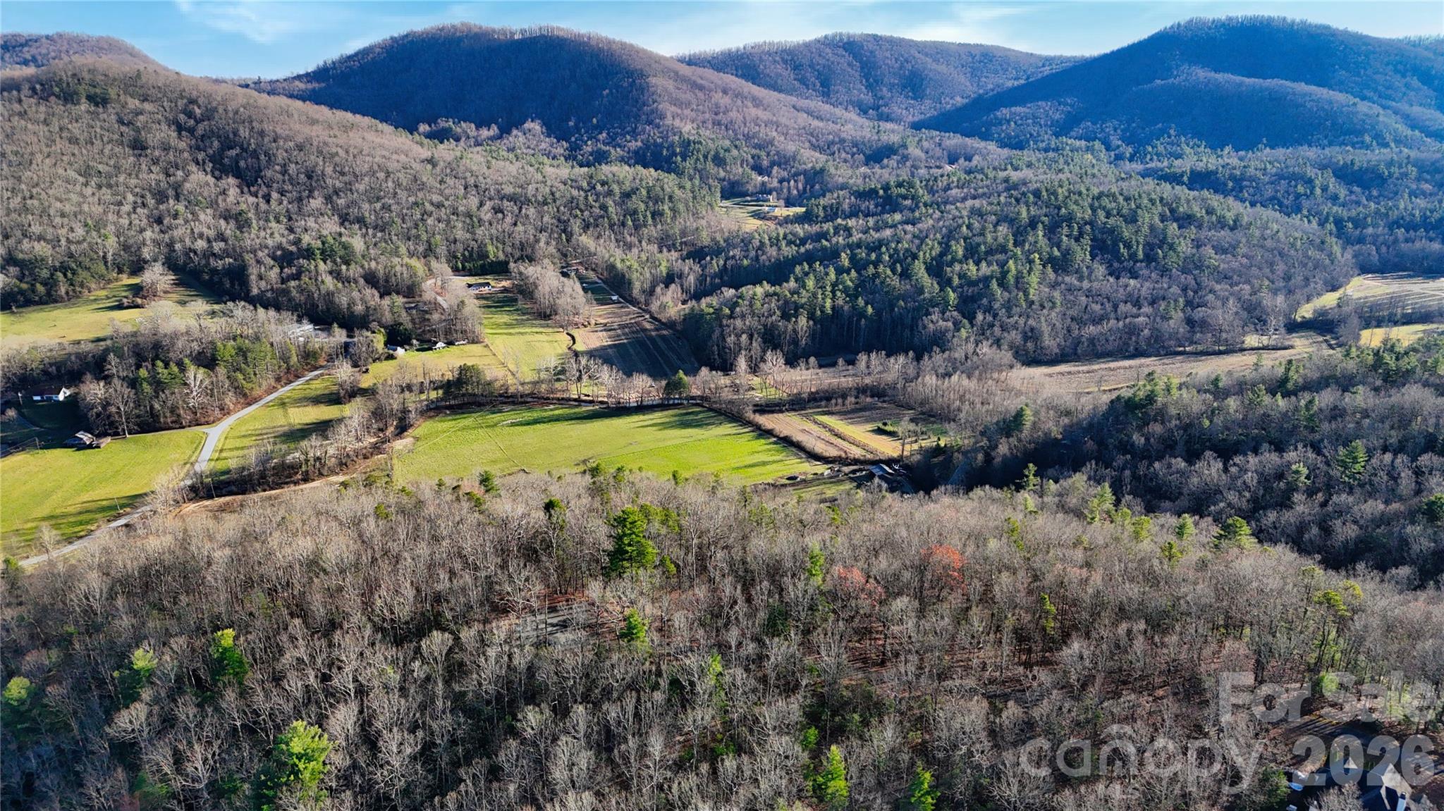 130 Brown Bear Ridge Trail Zirconia NC 28790