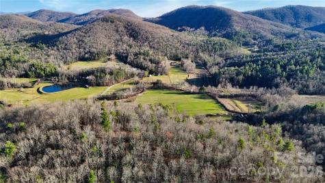 130 Brown Bear Ridge Trail Zirconia NC 28790