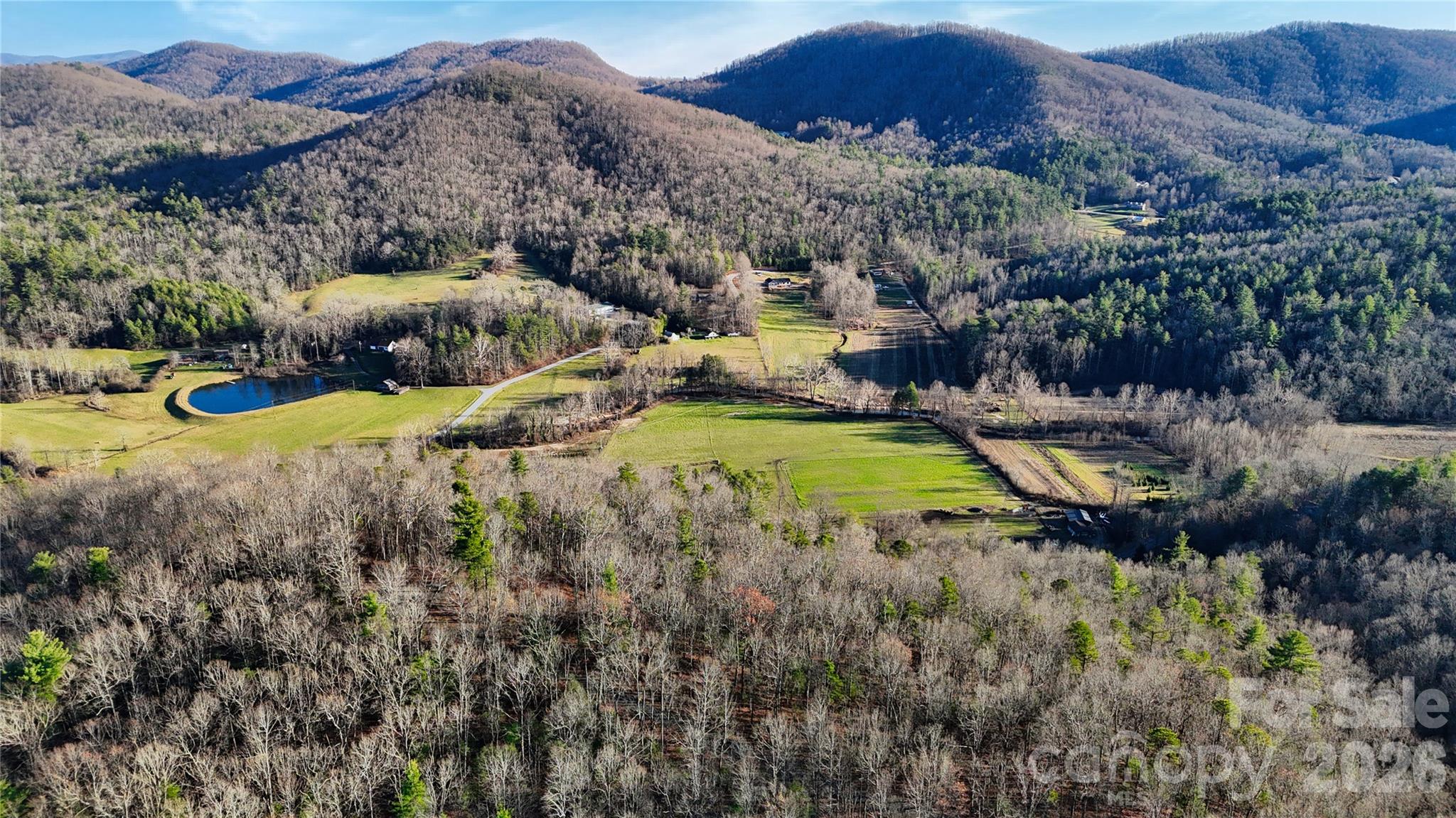 130 Brown Bear Ridge Trail Zirconia NC 28790
