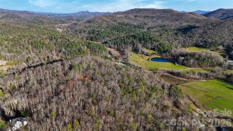 130 Brown Bear Ridge Trail Zirconia NC 28790