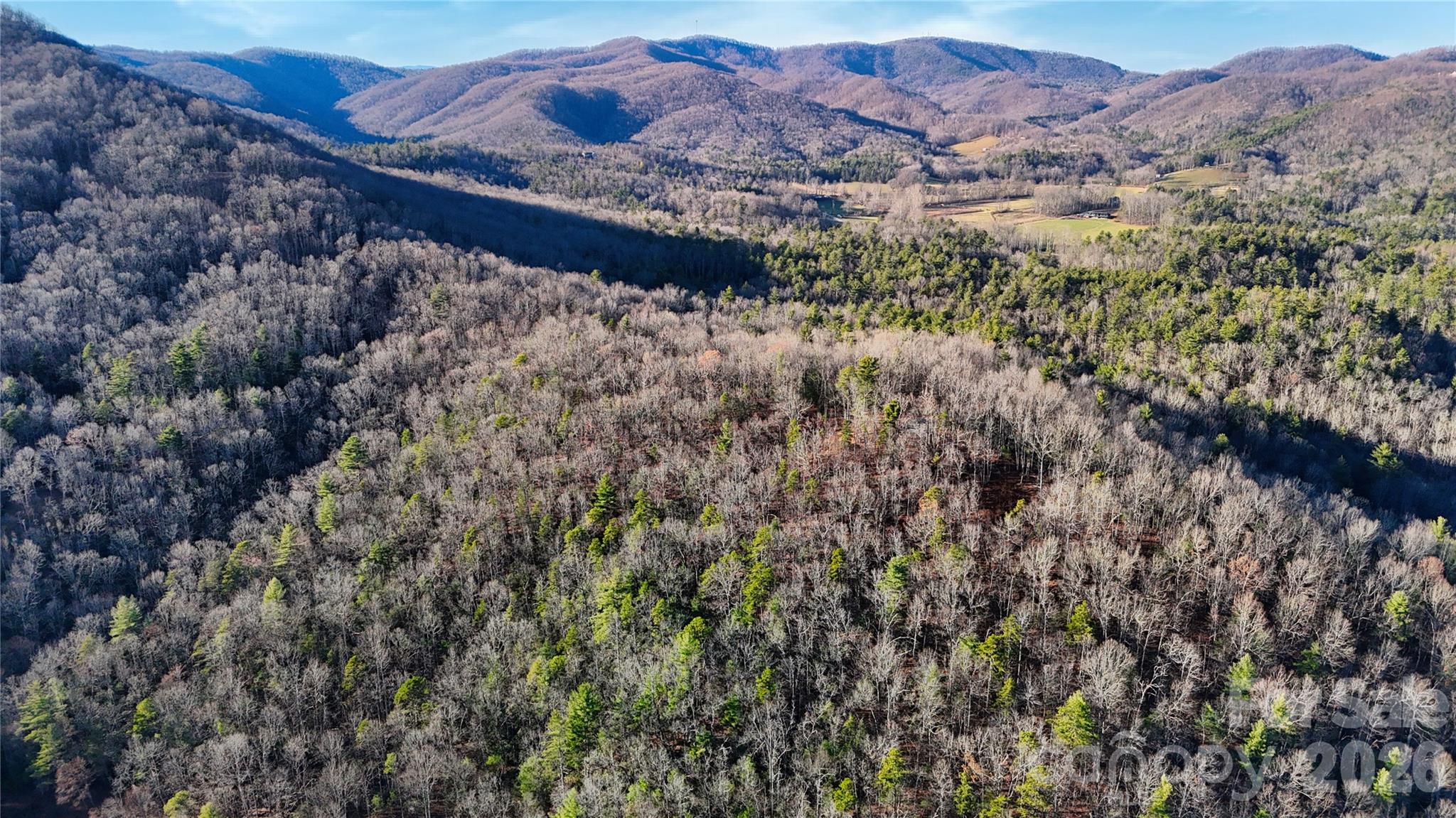 130 Brown Bear Ridge Trail Zirconia NC 28790