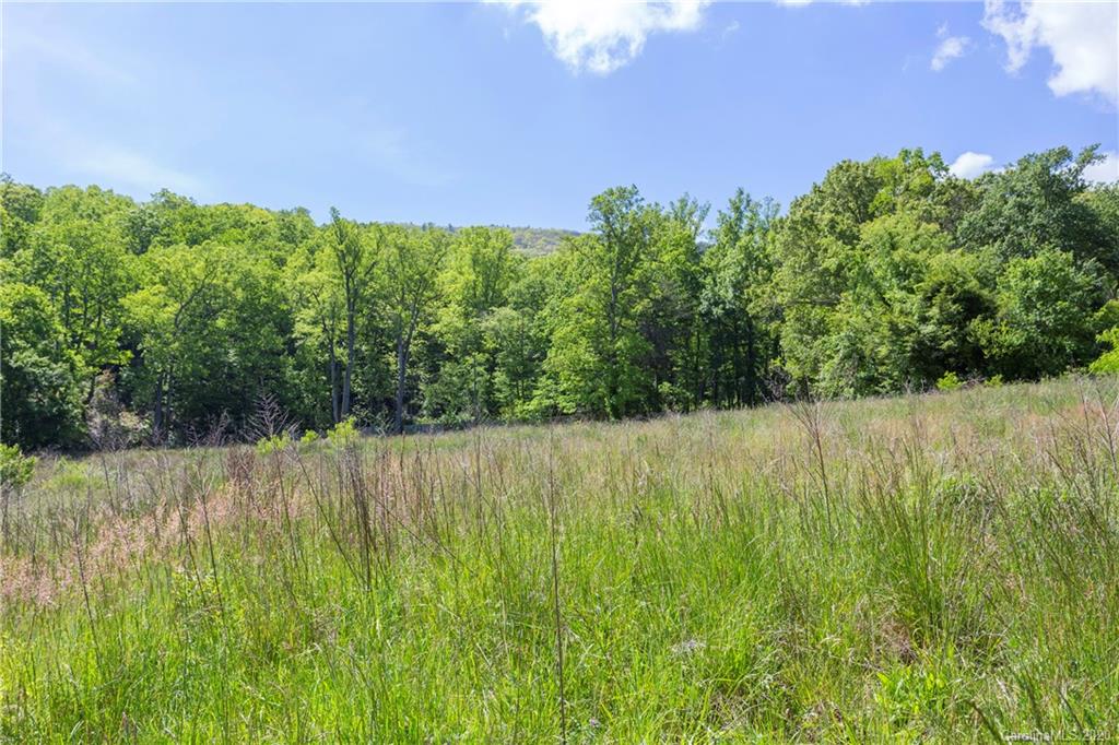 10 Harbinger Way Asheville NC 28803