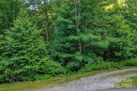 Lot 13 Hares Ear Lane Tuckasegee NC 28783