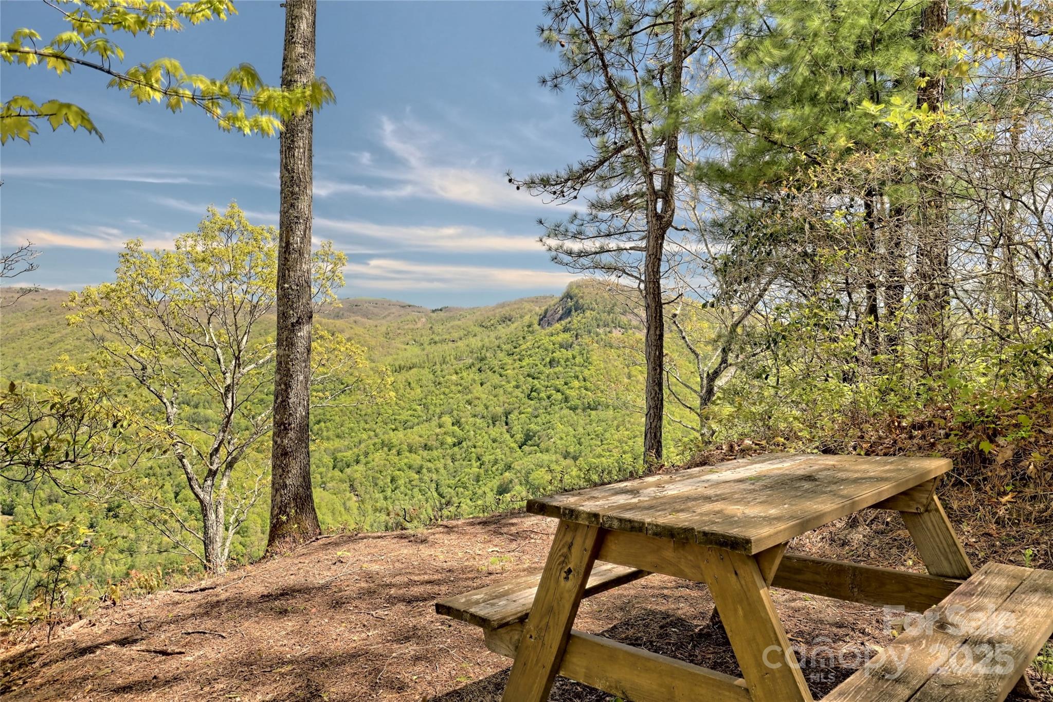 Lot 13 Hares Ear Lane Tuckasegee NC 28783