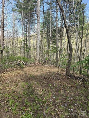 Lot 13 Hares Ear Lane Tuckasegee NC 28783