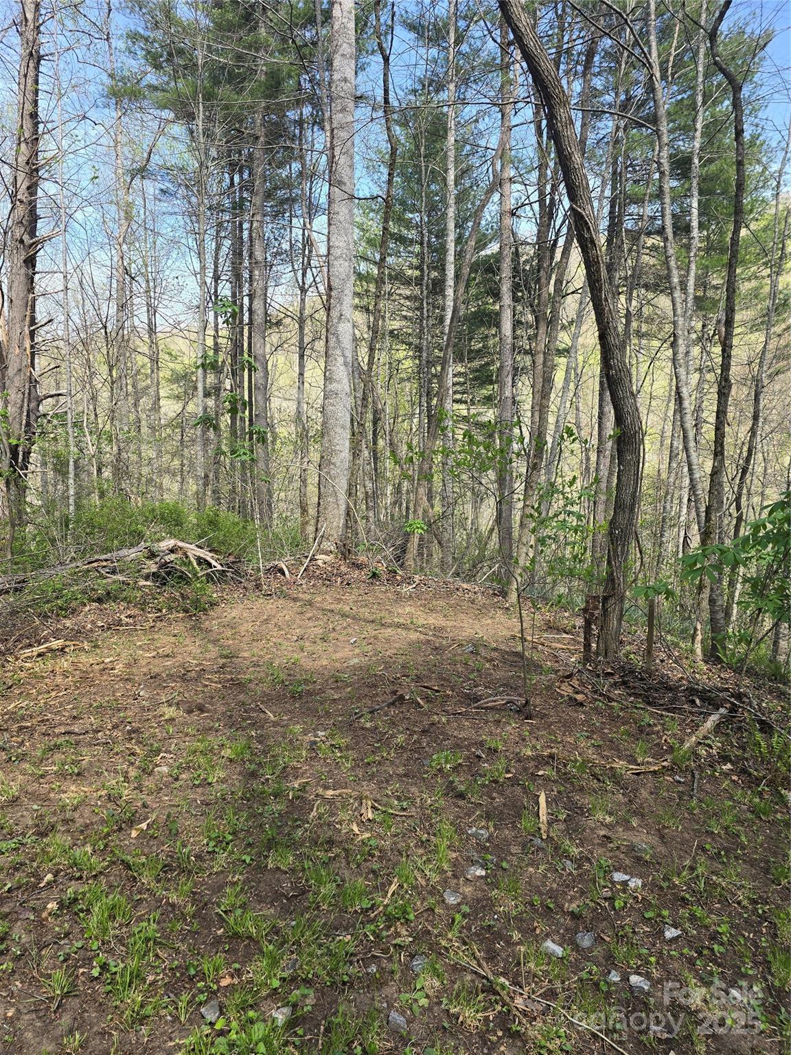 Lot 13 Hares Ear Lane Tuckasegee NC 28783