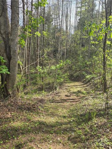 Lot 13 Hares Ear Lane Tuckasegee NC 28783