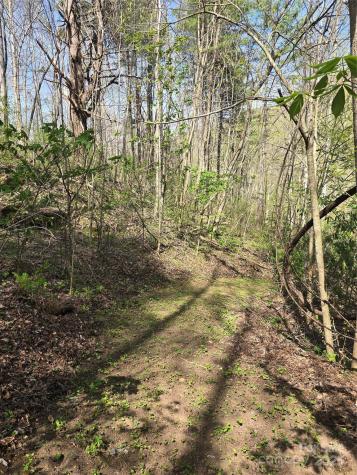 Lot 13 Hares Ear Lane Tuckasegee NC 28783