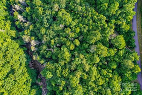 Lot 13 Hares Ear Lane Tuckasegee NC 28783