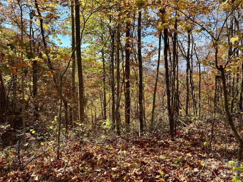 0 Owle View Bryson City NC 28713