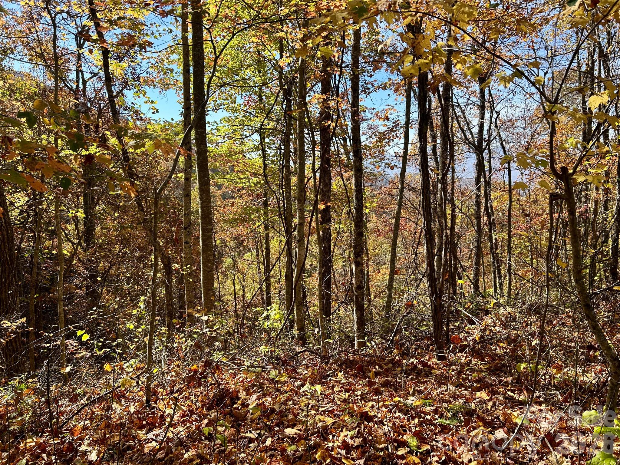 0 Owle View Bryson City NC 28713