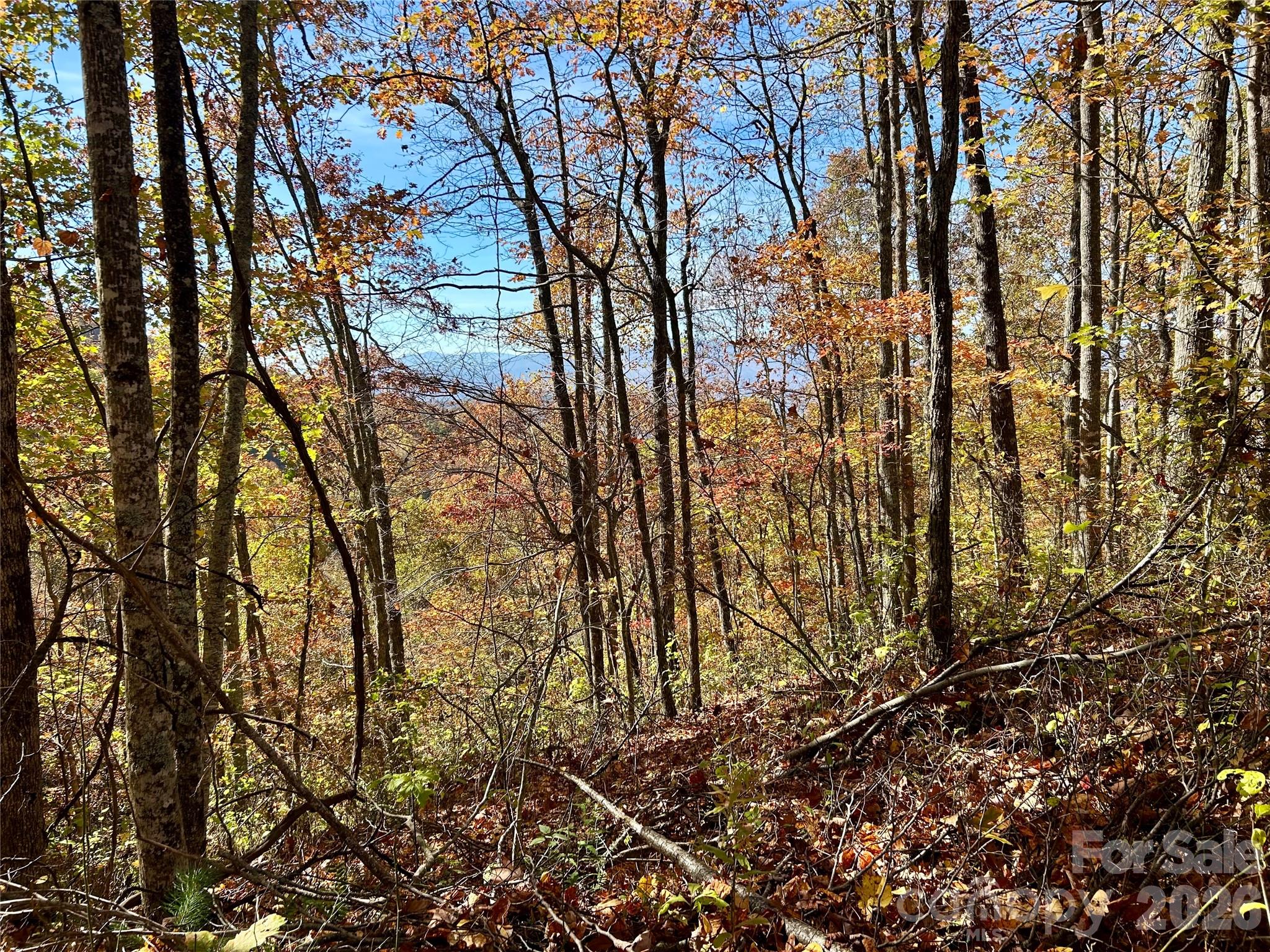 0 Owle View Bryson City NC 28713