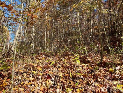 0 Owle View Bryson City NC 28713
