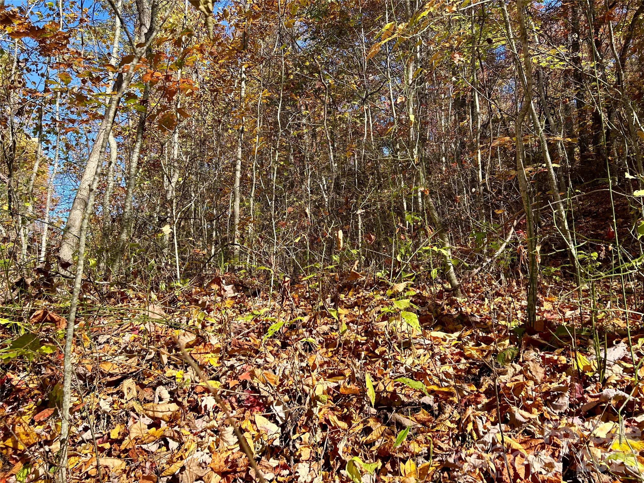 0 Owle View Bryson City NC 28713