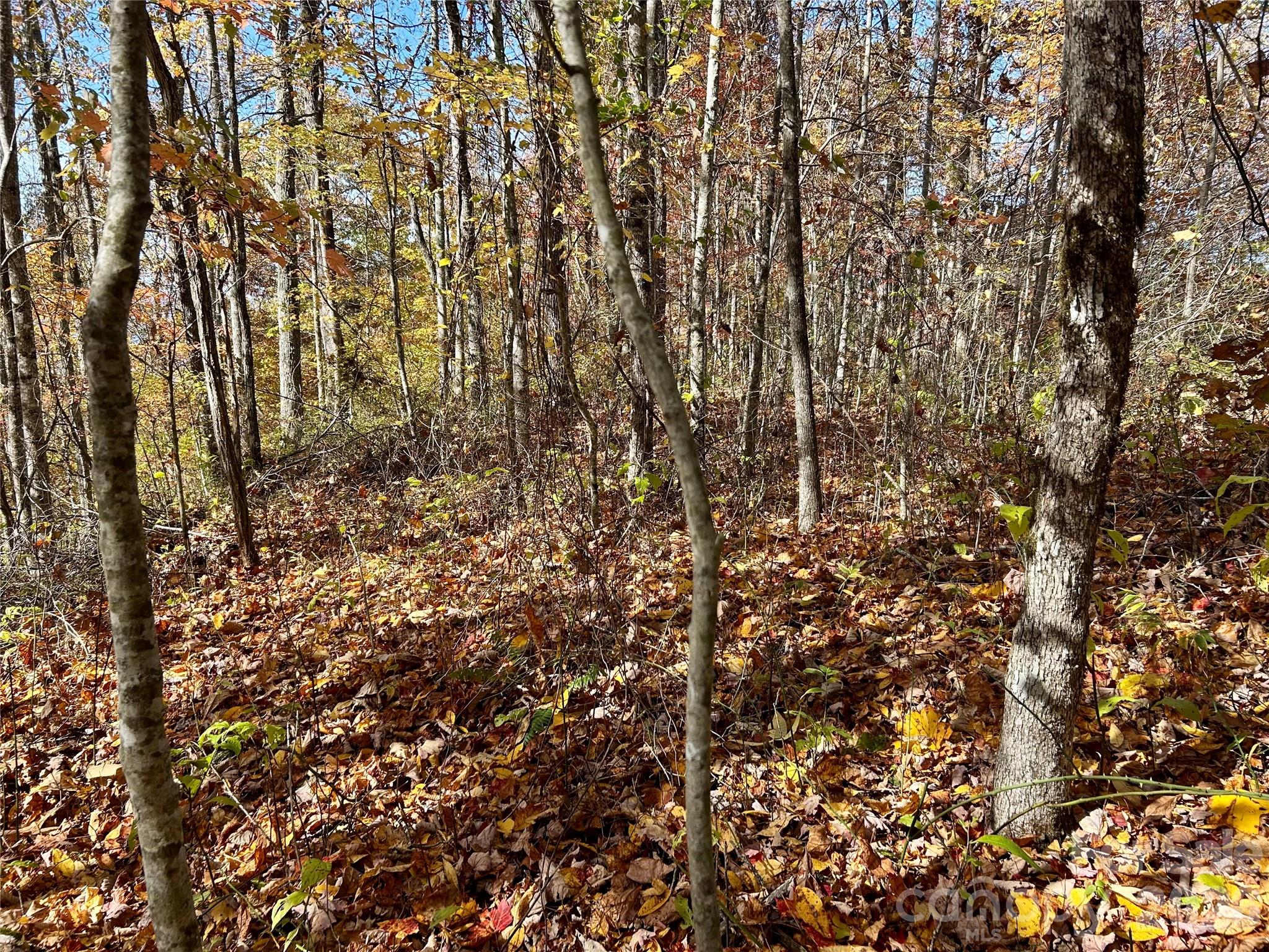 0 Owle View Bryson City NC 28713