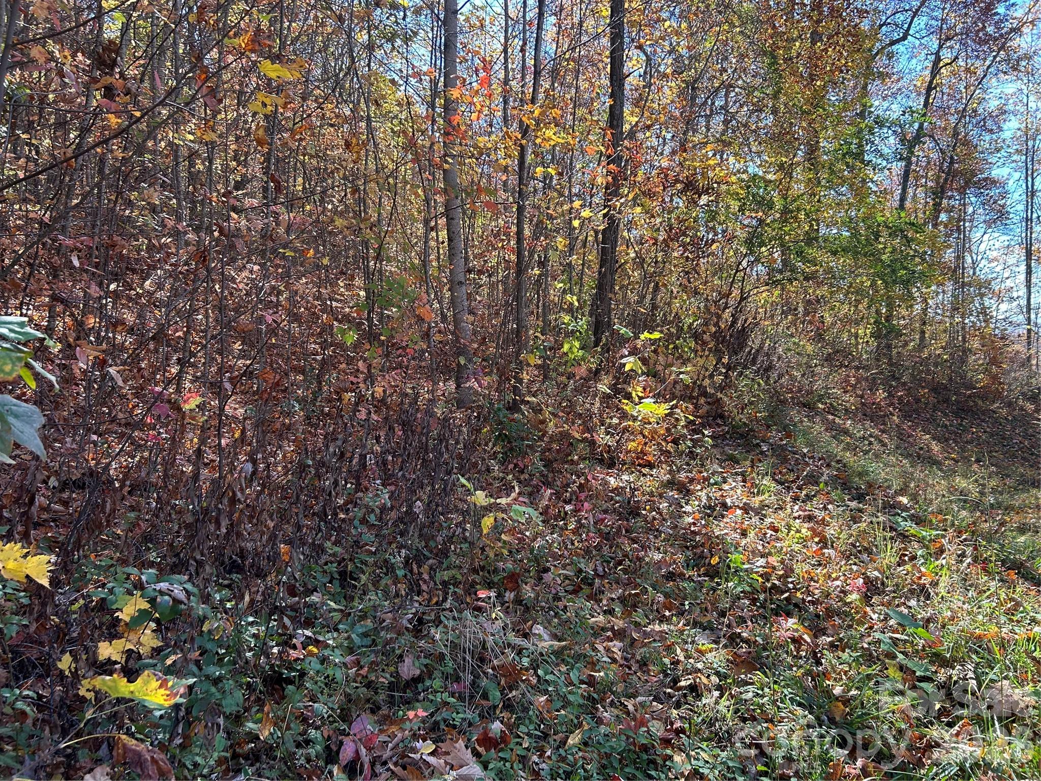 0 Owle View Bryson City NC 28713