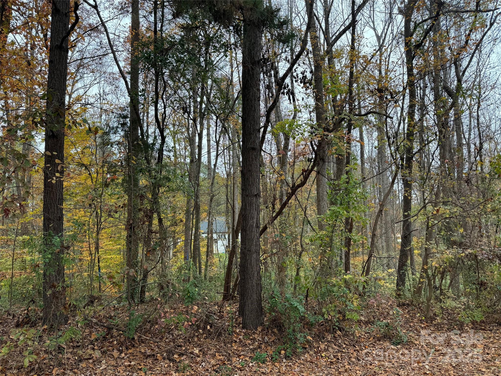 Tbd Cardinal Loop Stanley NC 28164