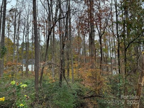 Tbd Cardinal Loop Stanley NC 28164