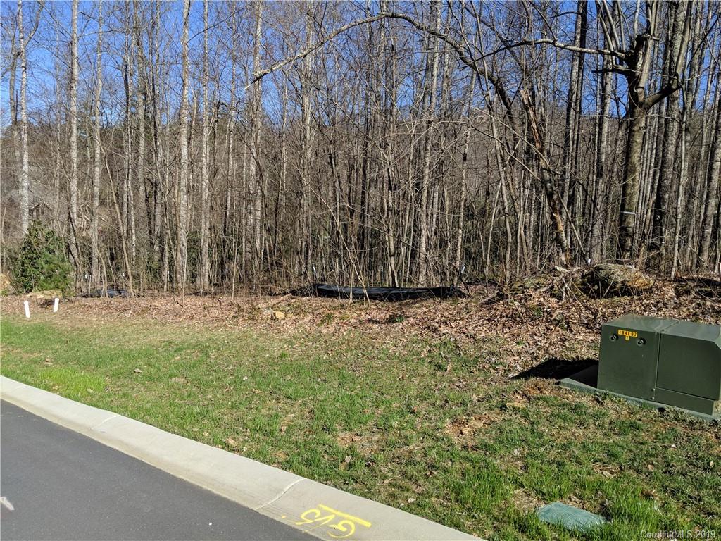 6 Little Bear Creek Road Black Mountain NC 28711