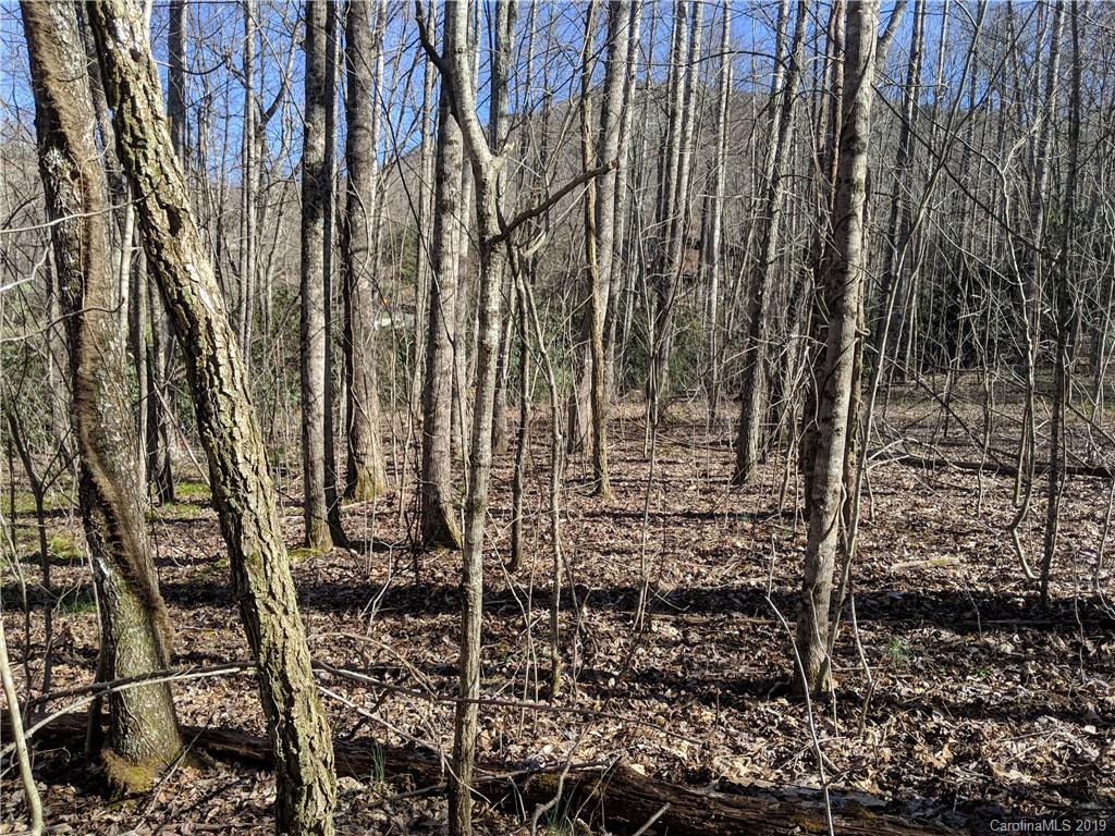 6 Little Bear Creek Road Black Mountain NC 28711