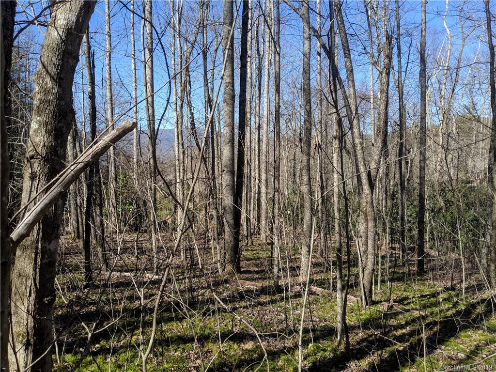 6 Little Bear Creek Road Black Mountain NC 28711