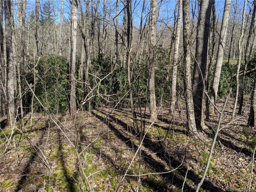 6 Little Bear Creek Road Black Mountain NC 28711
