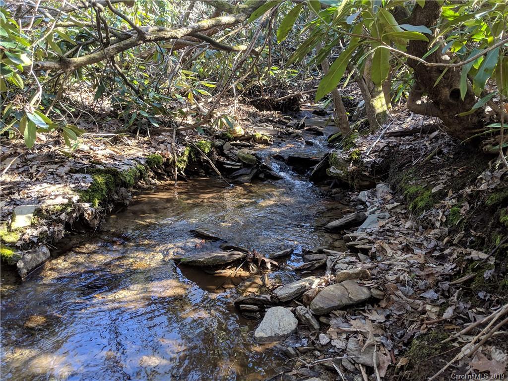 6 Little Bear Creek Road Black Mountain NC 28711