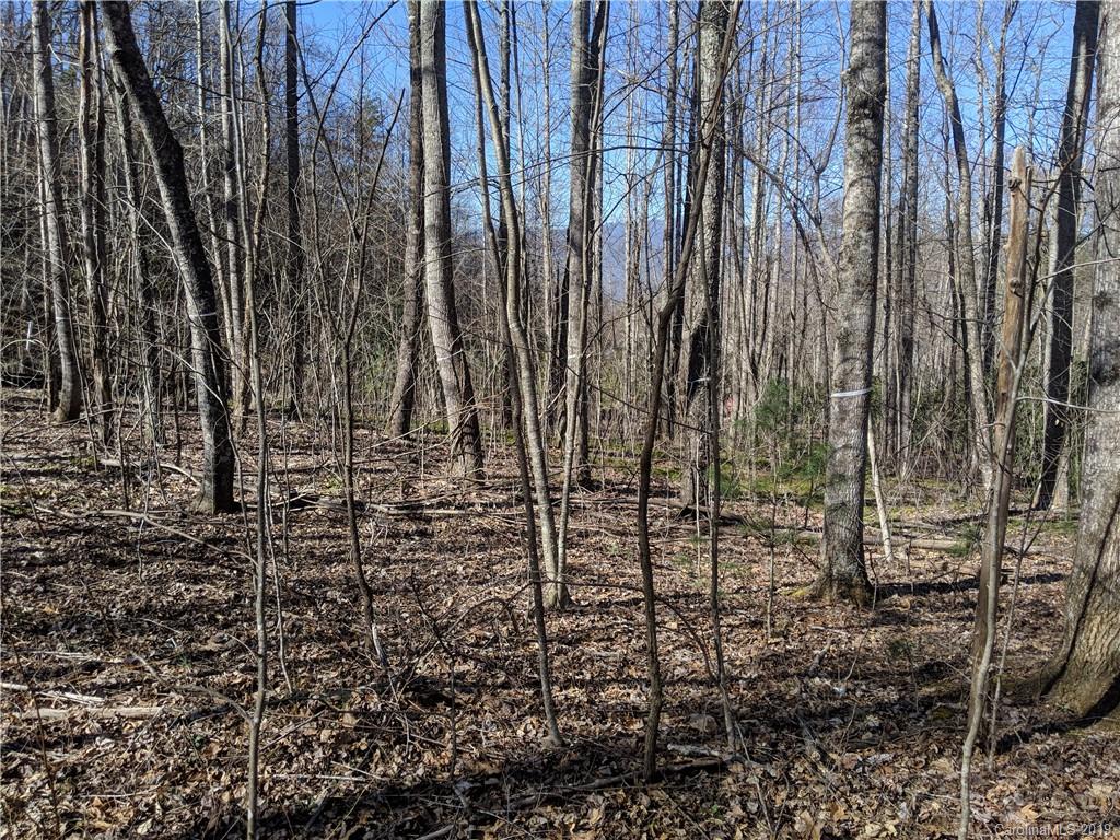 6 Little Bear Creek Road Black Mountain NC 28711
