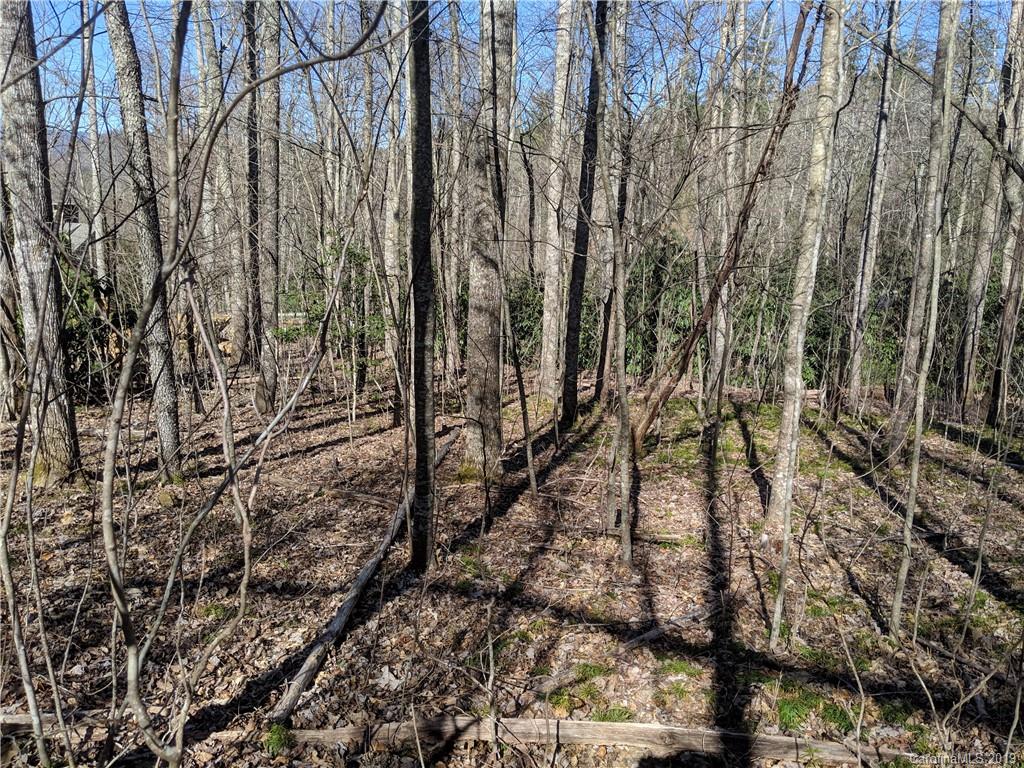6 Little Bear Creek Road Black Mountain NC 28711