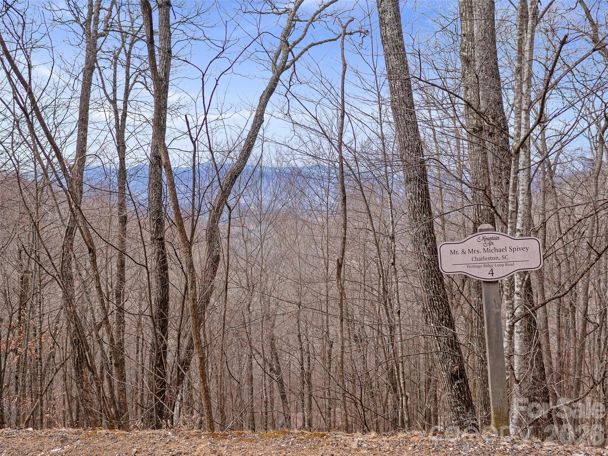 Lot 4 Heritage Ridge Loop Burnsville NC 28714