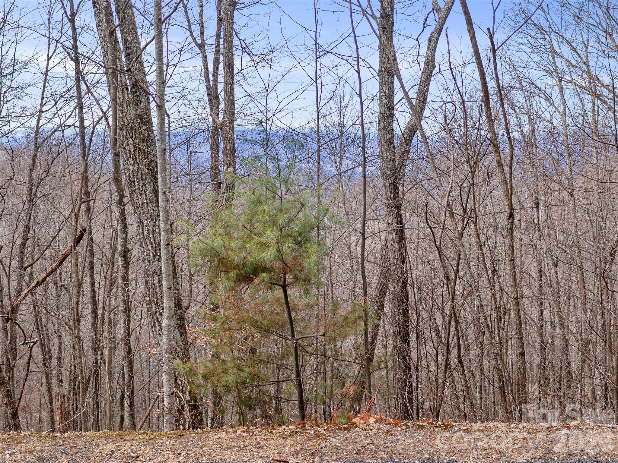 Lot 4 Heritage Ridge Loop Burnsville NC 28714