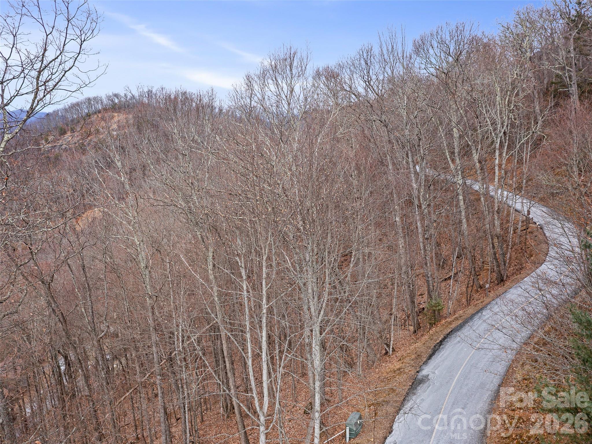 Lot 4 Heritage Ridge Loop Burnsville NC 28714