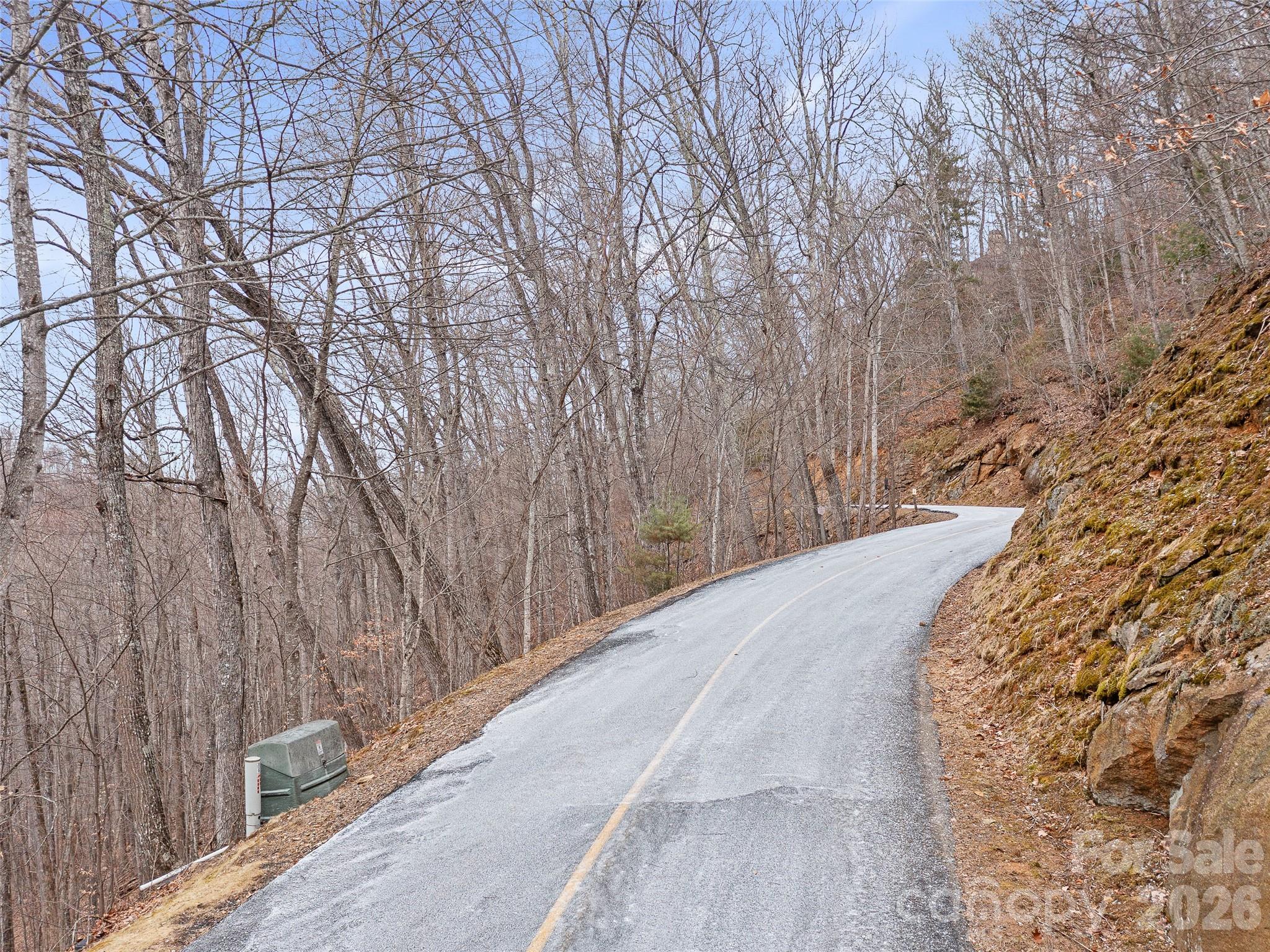 Lot 4 Heritage Ridge Loop Burnsville NC 28714