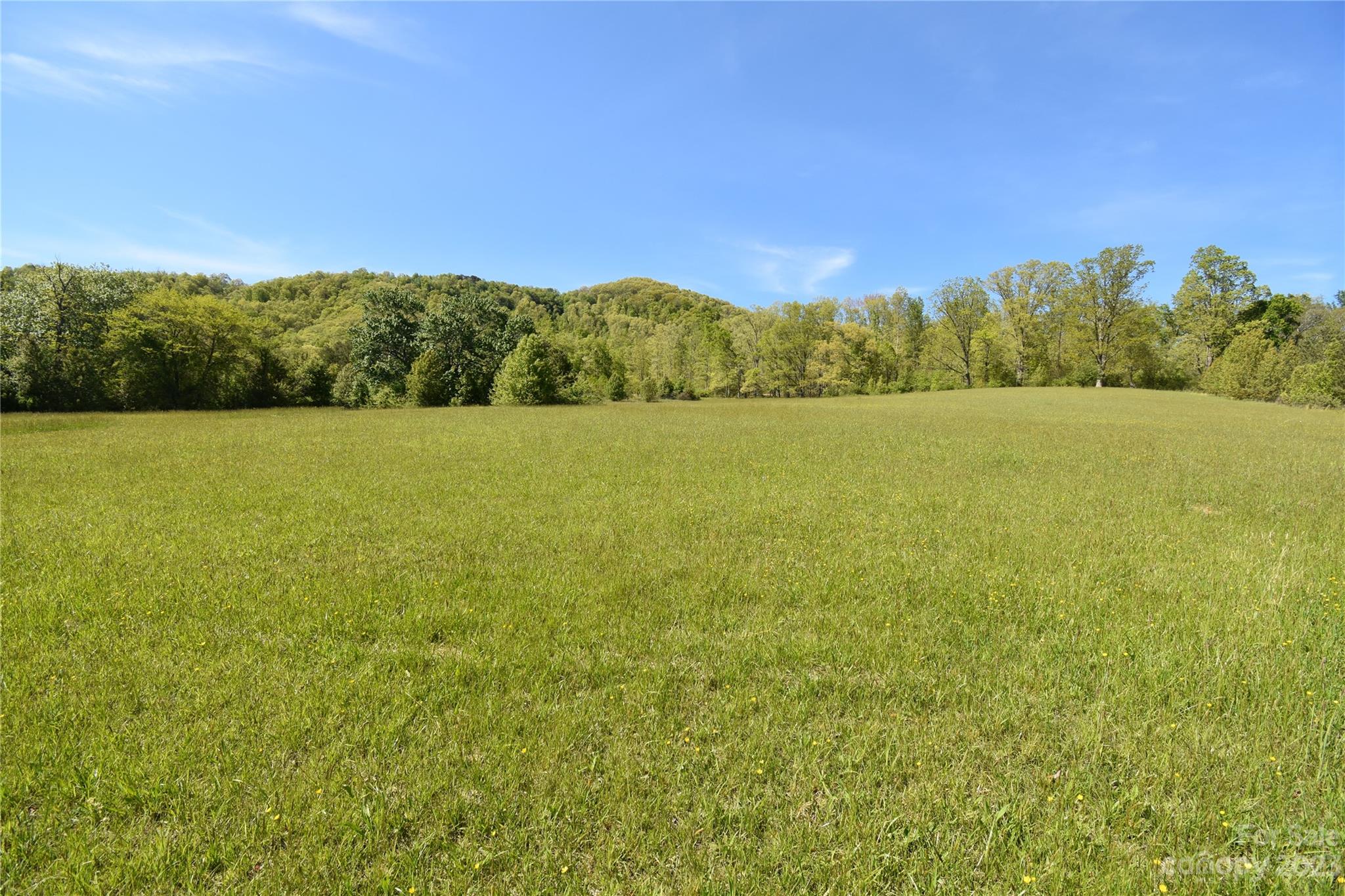Land Off Ransom Road Clyde NC 28721
