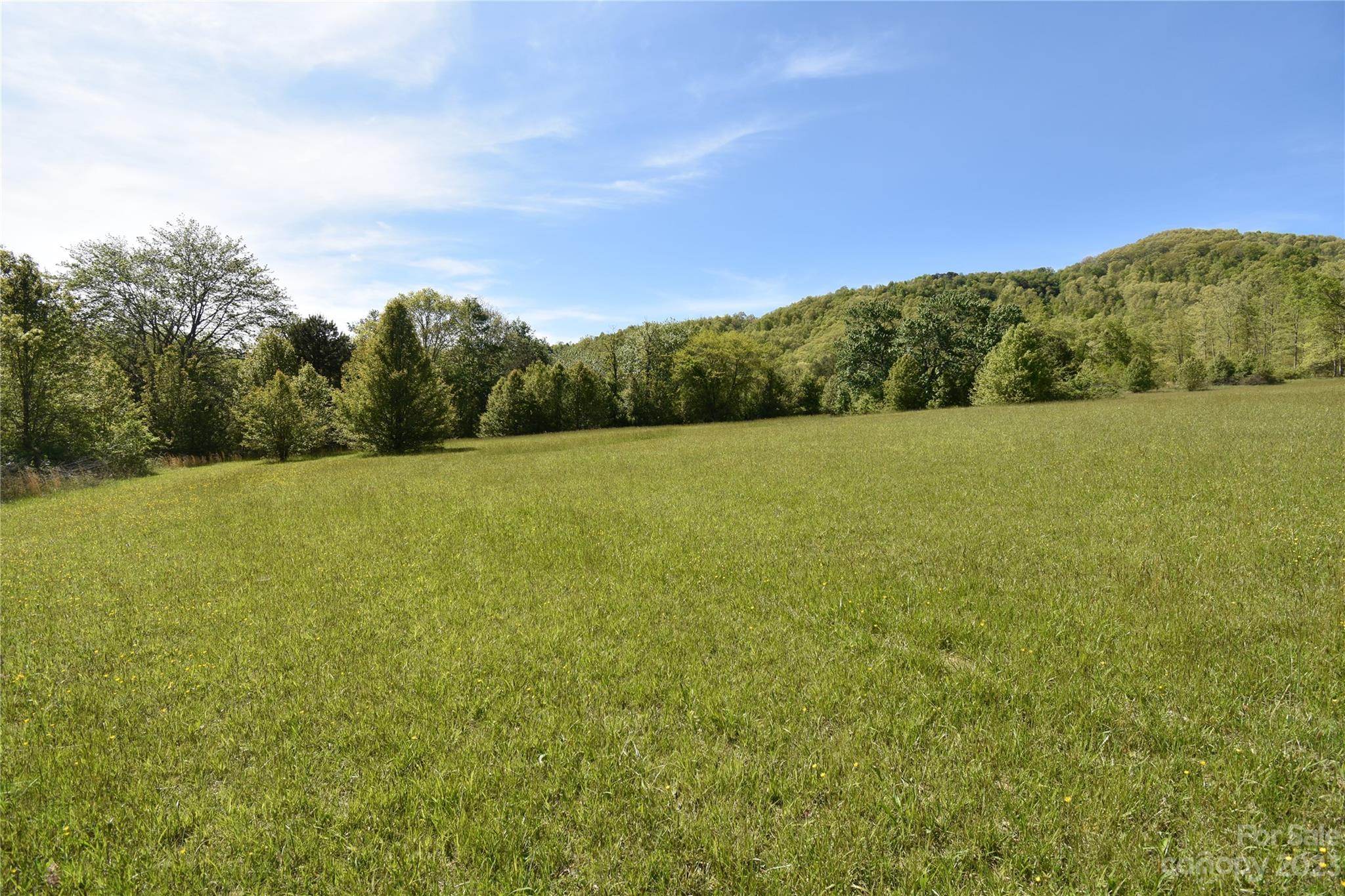 Land Off Ransom Road Clyde NC 28721