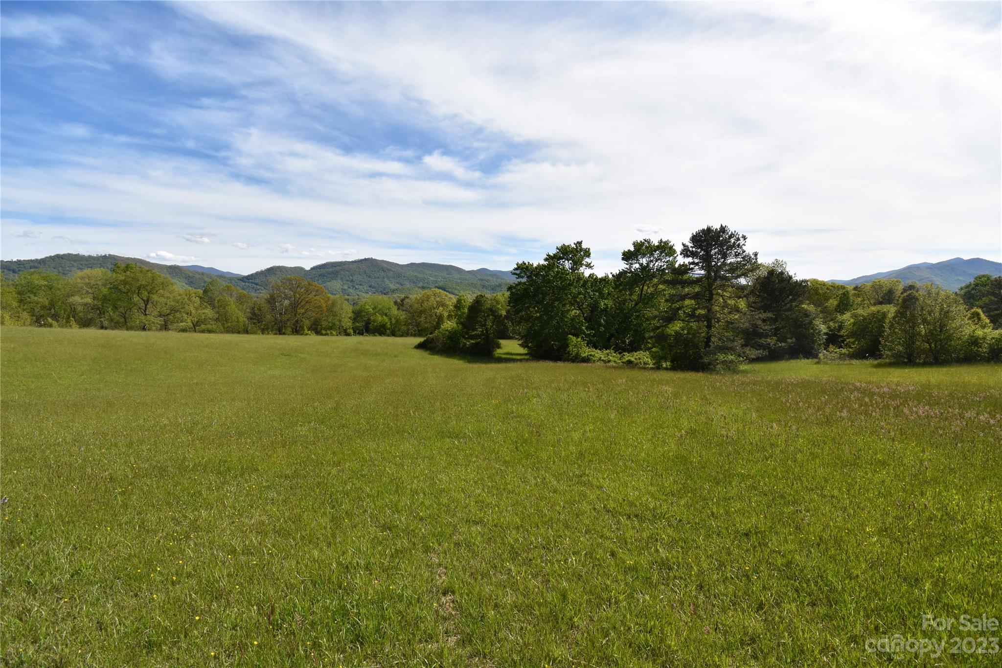 Land Off Ransom Road Clyde NC 28721