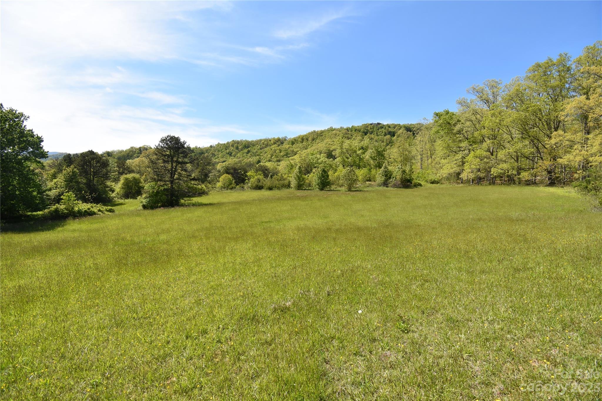 Land Off Ransom Road Clyde NC 28721