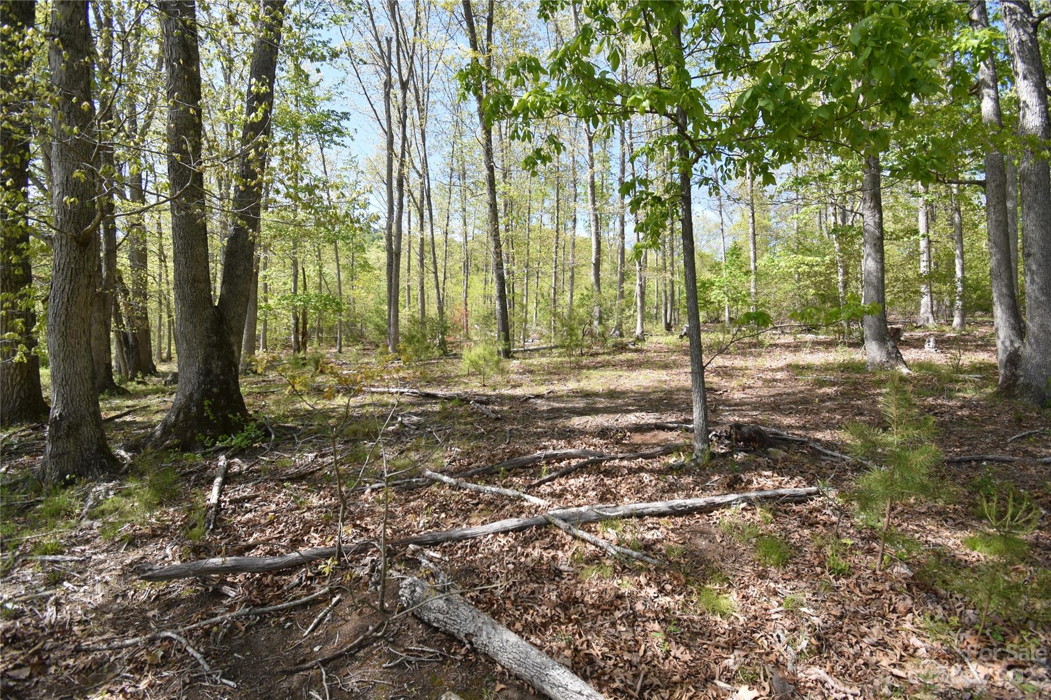 Land Off Ransom Road Clyde NC 28721