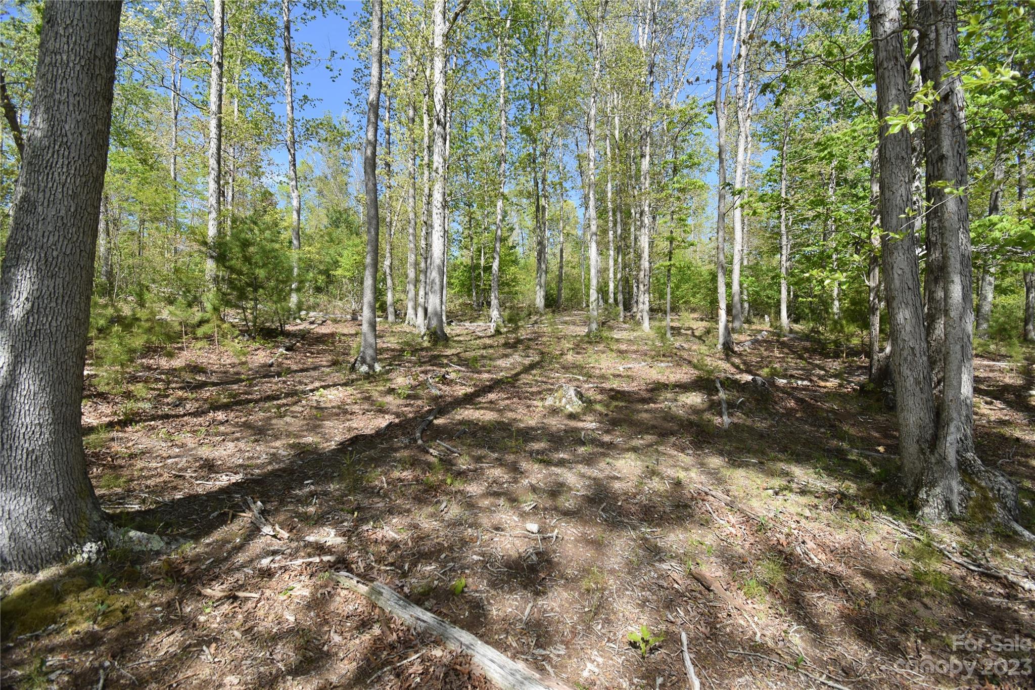 Land Off Ransom Road Clyde NC 28721