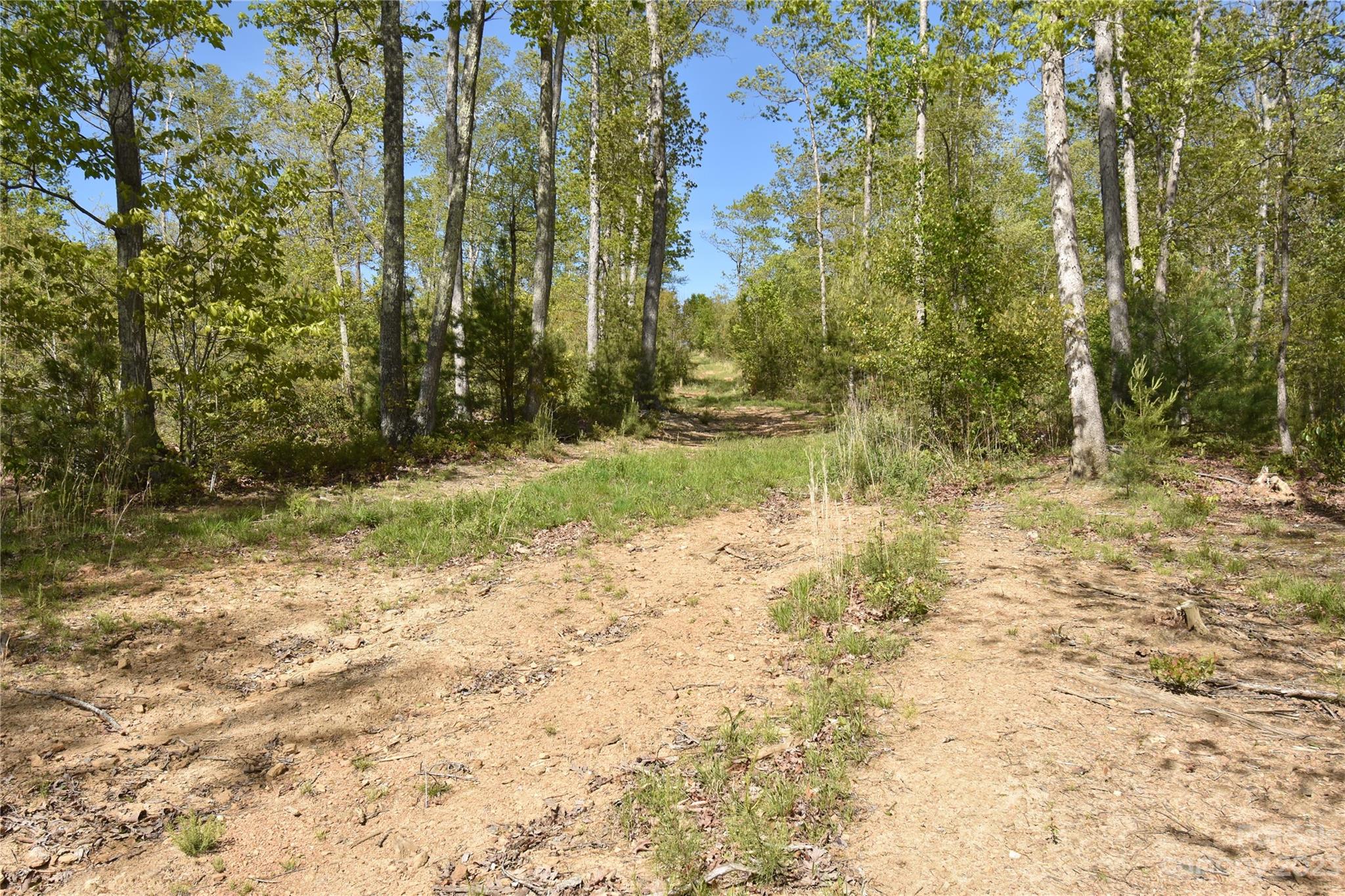 Land Off Ransom Road Clyde NC 28721