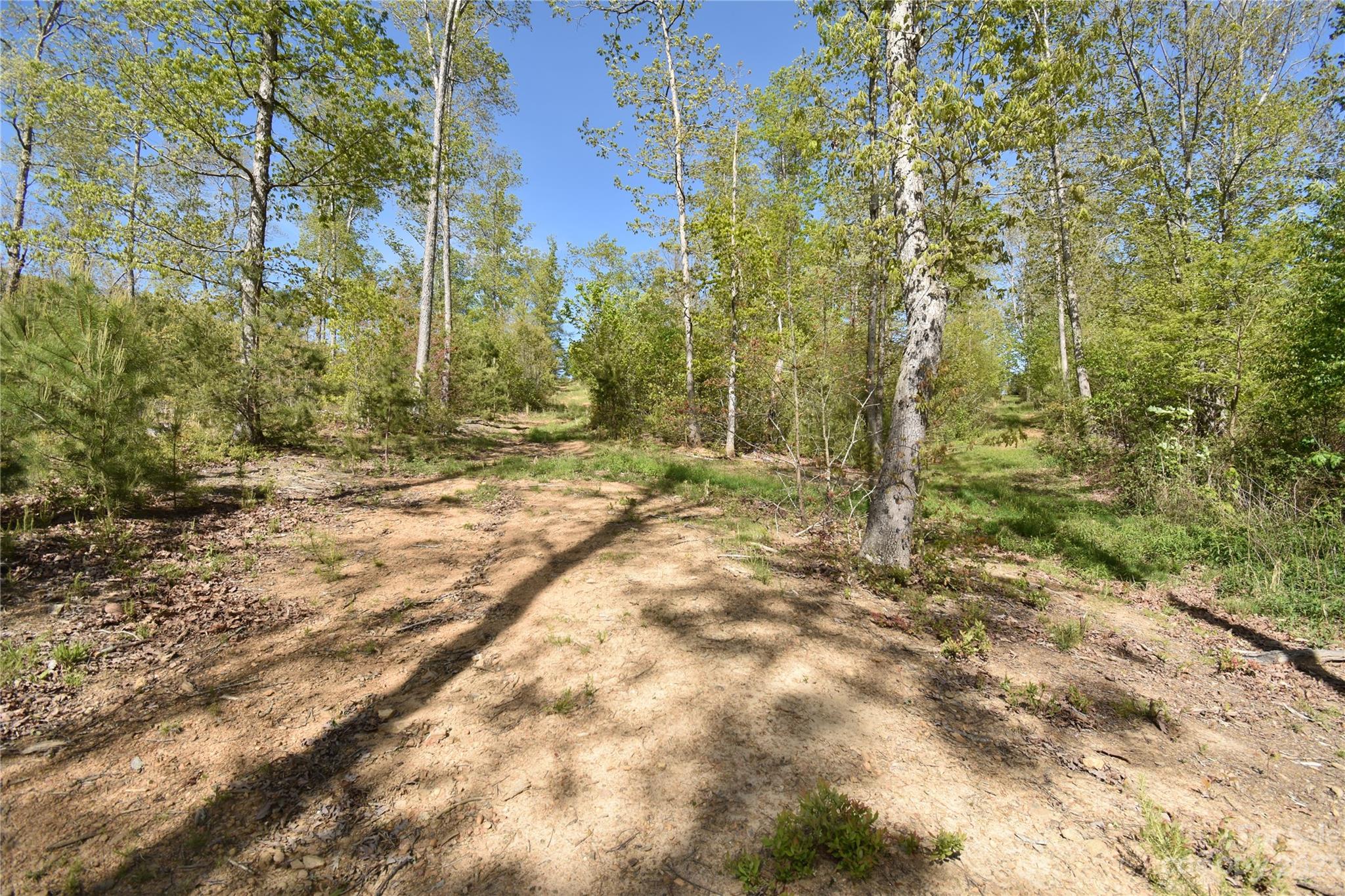 Land Off Ransom Road Clyde NC 28721