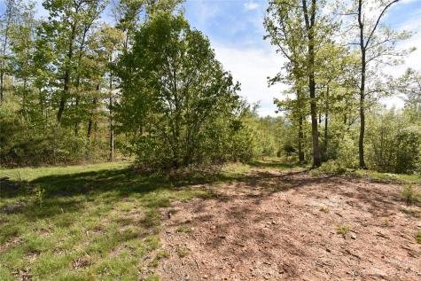Land Off Ransom Road Clyde NC 28721