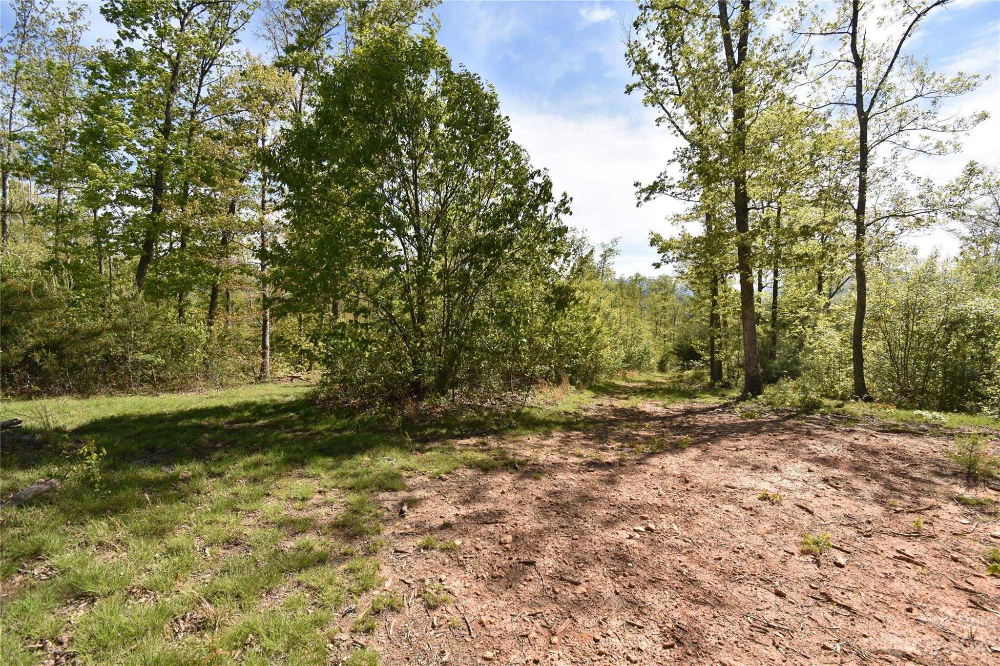 Land Off Ransom Road Clyde NC 28721